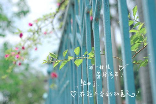 眯宝贝成长记纪念册